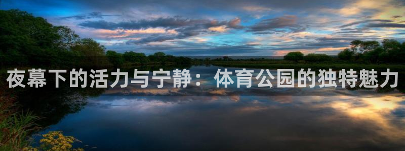 夜幕下的活力与宁静：体育公园的独特魅力