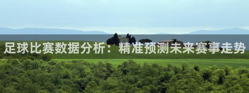 足球比赛数据分析：精准预测未来赛事走势
