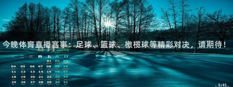 今晚体育直播赛事：足球、篮球、橄榄球等精彩对决，请期待！